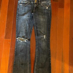 American Eagle Artist - Low Rise, Distressed Flare (Size 4 XLong)